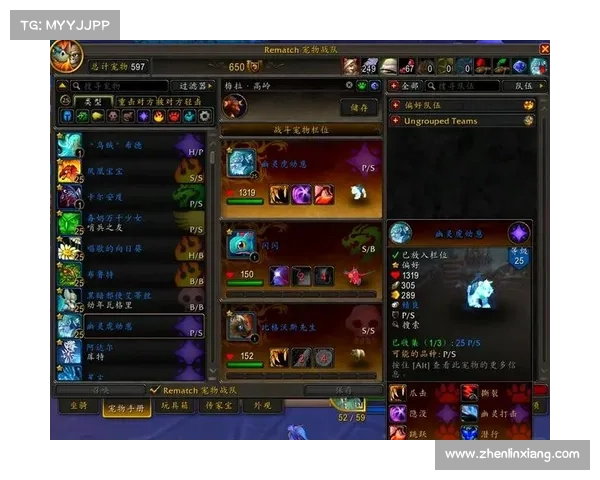 魔兽世界宠物宝宝升级攻略